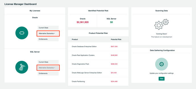 Image of the license manager dashboard