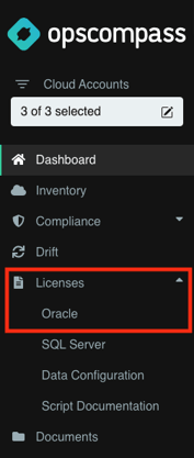 Side navigation with license menu item expanded. A submenu is visible with the list: Oracle, SQL Server, Data Configuration, and Script Documentation.